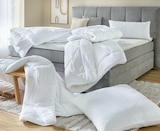Aktuelles Kopfkissen „Lina“ Angebot bei Sconto SB in Paderborn ab 9,99 €