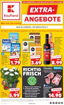 Kaufland Prospekt Kümmersbruck "EXTRA-ANGEBOTE" mit 8 Seiten