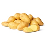 Angebot im Penny Oftersheim Prospekt Penny Oftersheim Prospekt mit im Angebot für 1,79 €