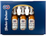 Münchner Hell von Hacker-Pschorr im aktuellen Penny Prospekt für 11,99 €