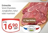 Aktuelle Rindfleisch Angebote bei GLOBUS in Leipzig Aktuelles Entrecôte Angebot bei GLOBUS in Leipzig ab 16,90 €