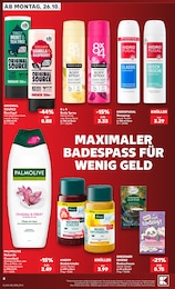 Orchidee Angebot im aktuellen Kaufland Prospekt auf Seite 8