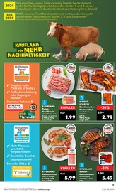 Hackfleisch im Kaufland Prospekt in Heidelberg Aktueller Kaufland Prospekt mit Hackfleisch, "Aktuelle Angebote", Seite 17