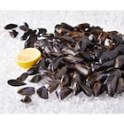 Moules de hollande MSC - Carrefour Market à La Rochelle Moules de hollande MSC en promo chez Carrefour Market La Rochelle à 7,99 €