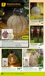 Lampe Angebot im aktuellen Pflanzen Kölle Prospekt auf Seite 12