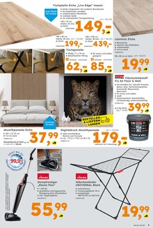 Wäscheständer im Globus-Baumarkt Prospekt "Immer eine Idee besser" mit 11 Seiten (Trier)