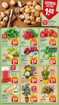 Tomaten im REWE Prospekt "Dein Markt" mit 26 Seiten (Offenbach (Main))