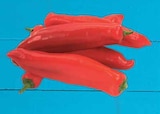 Aktuelles Bio-Spitzpaprika Angebot bei EDEKA in Ingolstadt ab 0,99 €