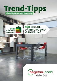 Gebrüder Ott Baustoffe Prospekt für Großbettlingen: "Trend-Tipps FÜR DIE ENERGETISCHE SANIERUNG", 14 Seiten, 24.05.2024 - 02.06.2024