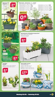 Saatgut Angebot im Netto mit dem Scottie Prospekt, gültig von 02.03.2026 bis 07.03.2026 Saatgut Angebot im aktuellen Netto mit dem Scottie Prospekt auf Seite 25