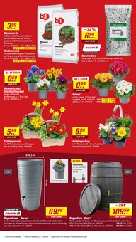 Pflanzen im toom Baumarkt Prospekt "Respekt, wer's selber macht." mit 14 Seiten (Mönchengladbach)