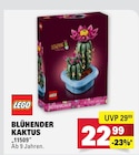 Blühender Kaktus Angebote von LEGO bei Marktkauf Leinfelden-Echterdingen für 22,99 €