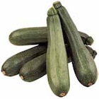 Marktkauf Schleswig - Zucchini Angebot im Prospekt Zucchini bei Marktkauf im Schleswig Prospekt für 1,99 €