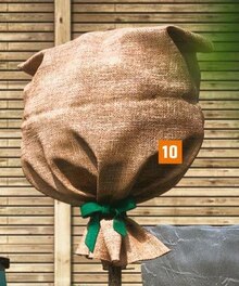 Winterschutz Jutesack natur bei OBI in Kerpen Winterschutz Jutesack natur im Angebot bei OBI Kerpen für 2,49 €