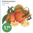 Blattclementinen von  im aktuellen V-Markt Prospekt für 1,99 €