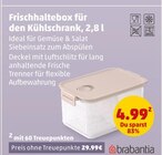 Frischhaltebox für den Kühlschrank von Brabantia im aktuellen Penny Prospekt