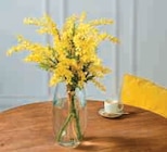 U Express Houdemont - Promo Bouquet Mimosa Promo Bouquet Mimosa à 5,19 € dans le catalogue U Express à Houdemont