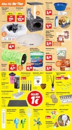 Donuts Angebot im aktuellen Thomas Philipps Prospekt auf Seite 14
