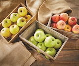 Promo Pomme à 0,28 € dans le catalogue Intermarché à Crosne