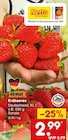 Erdbeeren im Netto Marken-Discount Prospekt Erdbeeren im aktuellen Netto Marken-Discount Prospekt für 2,99 €