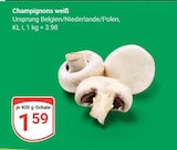 Champignons weiß Angebote bei GLOBUS Ludwigshafen für 1,59 €