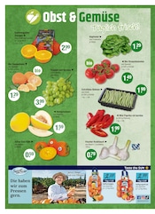 Aktueller V-Markt Prospekt mit Paprika, "V-Markt einfach besser einkaufen", Seite 4