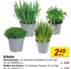 toom Baumarkt Großerkmannsdorf - Kräuter Angebot im Prospekt Kräuter bei toom Baumarkt im Großerkmannsdorf Prospekt für 2,49 €