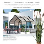 Parasol Parasol