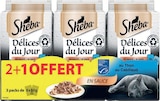 Promo Sachet fraîcheur pour chat Délices du jour à 5,25 € dans le catalogue Supermarchés Match à Strasbourg