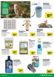 Ähnliche Hundezubehör Angebote im Prospekt "GÖNN DIR SONNEN-ENERGIE" von Hagebaumarkt in Oberhausen Ähnliche Angebote wie Hundezubehör im Prospekt "GÖNN DIR SONNEN-ENERGIE" auf Seite 13 von Hagebaumarkt in Oberhausen