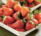 Intermarché Super Cognac - Promo Fraise Ronde Promo Fraise Ronde à 2,99 € dans le catalogue Intermarché Super à Cognac