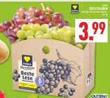 Tafeltrauben Angebote von EDEKA Herzstücke bei Marktkauf Münster für 3,99 €