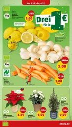 Bio Zitronen Angebot im aktuellen Penny Prospekt auf Seite 8