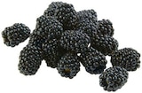 Brombeeren Angebot in Bad Ems Brombeeren im aktuellen Prospekt bei REWE in Bad Ems