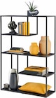 Regal halbhhoch Angebote bei Zurbrüggen Warendorf für 69,90 €