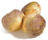 Steckrübe für 0,99 € bei Netto mit dem Scottie im Angebot Steckrübe im aktuellen Netto mit dem Scottie Prospekt