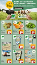 Vegan Angebot im aktuellen REWE Prospekt auf Seite 12
