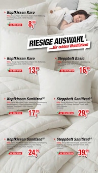 Kopfkissen im Die Möbelfundgrube Prospekt "Frühlings Vorteils Wochen" mit 20 Seiten (Trier)