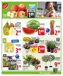 Lavendel im EDEKA Prospekt "Wir lieben Lebensmittel." mit 26 Seiten (München)