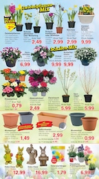 Sträucher Angebot & Preis im aktuellen Jawoll Prospekt Sträucher Angebot im aktuellen Jawoll Prospekt auf Seite 6