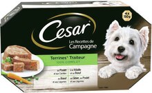 Géant Casino Argenteuil - Les Recettes de Campagne pour chien Terrines Traiteur Promo Les Recettes de Campagne pour chien Terrines Traiteur dans le catalogue Géant Casino Votre mois Casinomania à Argenteuil