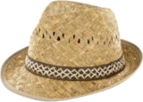 Hut „Borsalino“ im Angebot bei Bauzentrum Reinholdshain in Freital Hut „Borsalino“ Angebote bei Bauzentrum Reinholdshain Freital für 8,99 €