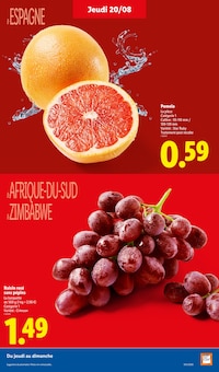 Promotion Melon dans le prospectus Lidl, valable du 20/08/2026 au 26/08/2026 Promo Melon dans le catalogue Lidl du moment à la page 5