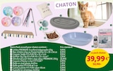 Pack accueil pour chaton dans le catalogue Maxi Zoo