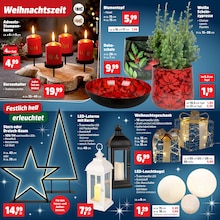 Blumentopf im Thomas Philipps Prospekt "Top Angebote" mit 35 Seiten (Karlsruhe)