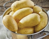 Pomme de terre de consommation à chair ferme - PRINCESSE AMANDINE - Intermarché Super à Villefranche-sur-Saône Pomme de terre de consommation à chair ferme - PRINCESSE AMANDINE en promo chez Intermarché Super Villefranche-sur-Saône à 2,79 €