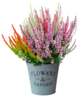 Aktuelles Chrysanthemen Flower Pops Angebot bei ALDI SÜD in Bonn ab 2,99 €