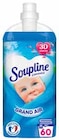 Adoucissant concentré grand air 60 lavages - SOUPLINE dans le catalogue Intermarché