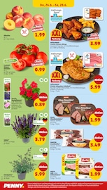 Schweineschnitzel im Penny Prospekt in Stuttgart Aktueller Penny Prospekt mit Schweineschnitzel, "Wer günstig will, muss Penny.", Seite 28