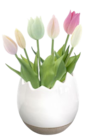 Silikontulpen von  im aktuellen Thomas Philipps Prospekt für 2,99 €